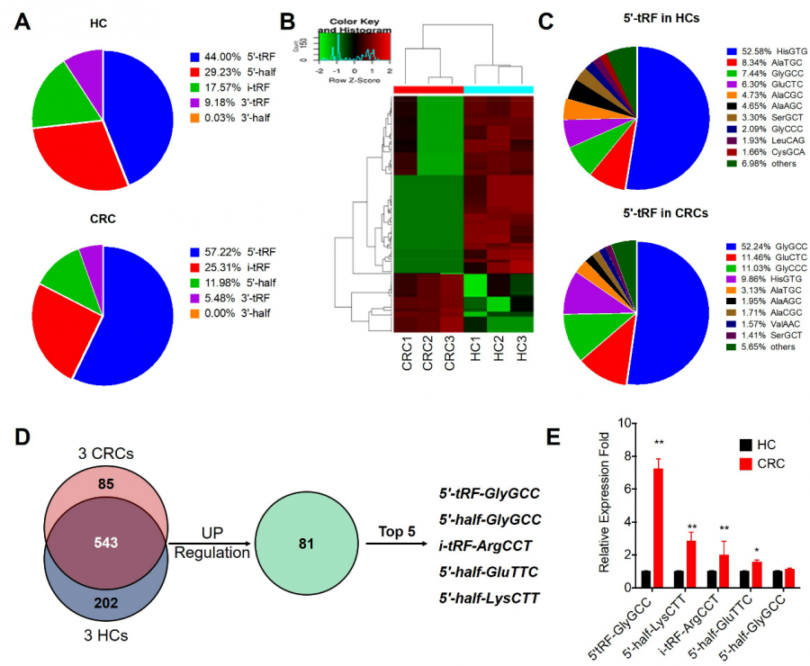 图1 CRC血浆中tDRs表达谱分析及5’-tRF-GlyGCC表达情况