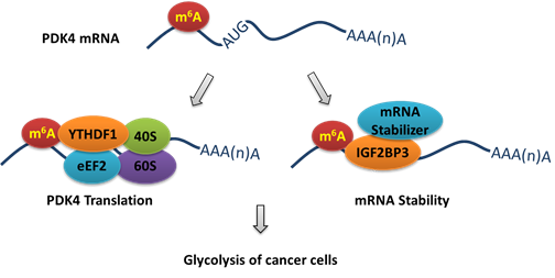 image-20200604112301-2