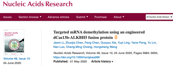 image-20200604112352-3