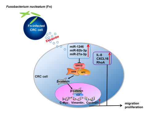 image-20201111094203-1