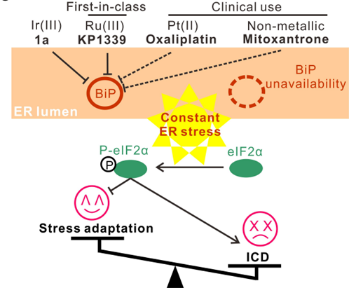 image-20220606095228-2